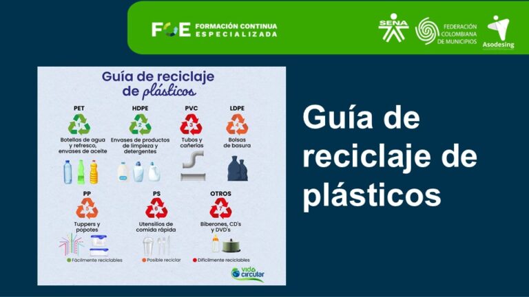 Diapositiva15